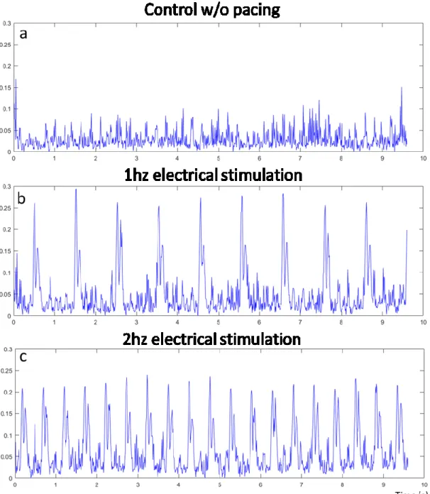 Figure  9 :  Electrical  stimulation  validation,  a)  is  the  control  composite  signal  obtained  without  electrical  stimulation  of  the  tissue,  b)  is  the  composite  signal  obtained during 1hz electrical  stimulation of the  tissue and c) is  