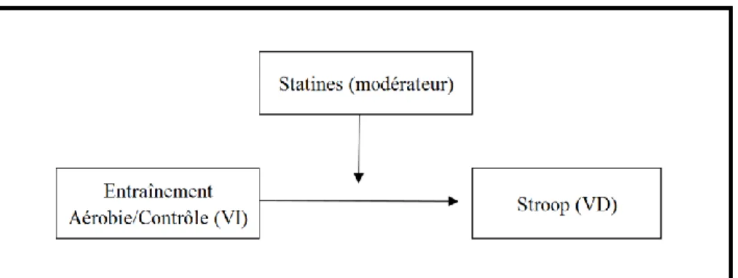 Figure 1.  Modèle de modération testé afin d’évaluer l’impact de la prise de statines  sur les bienfaits cognitifs de l’entraînement aérobie 