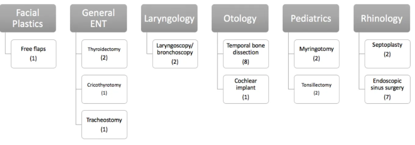 Figure 3: Surgical procedures and fields of OTL-HNS represented 