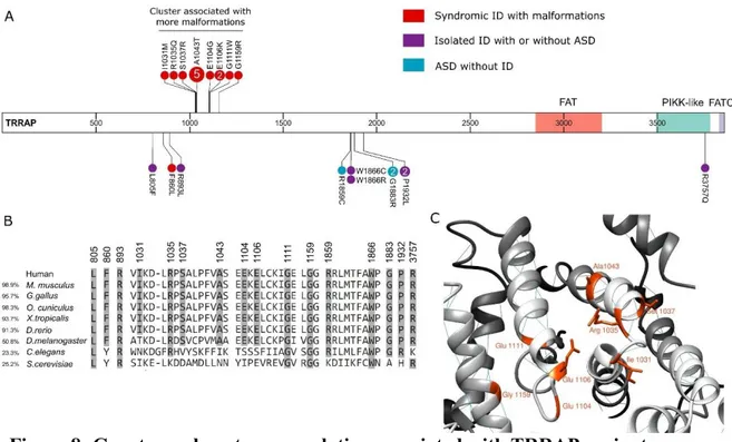 Figure 8: Genotype-phenotype correlation associated with TRRAP variants. 