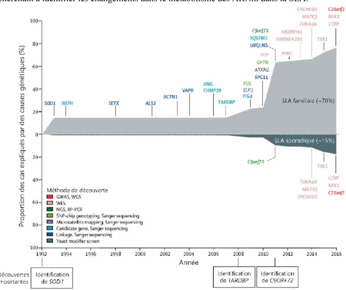 Figure 1.2 Identification des causes génétiques de la SLA au fil des années. Graphique représentant l’historique 