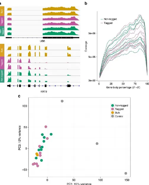 Figure 5.  Single-cell CLaP-labeled RNA transcriptome analysis (a) Example of RNA-Seq  data obtained for one highly expressed gene (UBB) and one RPE marker (KRT8) from bulk  (yellow),  tagged  single-cells  (red)  and  non-tagged  single  cells  (green)