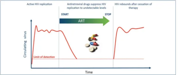 Figure  1.8.  Évolution  de  la  charge  virale  plasmatique  avant,  pendant,  et  après  interruption  de  la  thérapie antirétrovirale