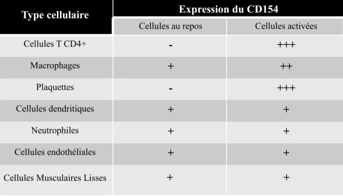 Tableau I.   Le  niveau  d’expression  du  CD154  à  la  surface  des  différents  types  cellulaires 