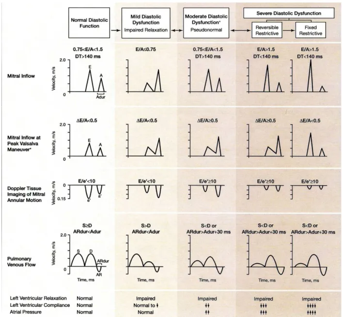 Figure 1: Echocardiographic parameters of DD. Extracted from [19]. 