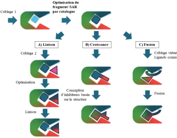 Figure 1-5. Stratégies utilisées dans l’optimisation des fragments. 