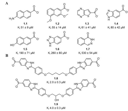 Figure 1-6. Structure des inhibiteurs connus de la DfrB1. 