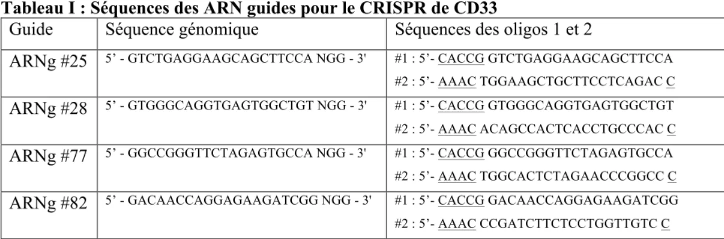Tableau I : Séquences des ARN guides pour le CRISPR de CD33 