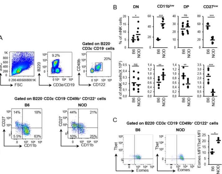 Figure 2.1. NOD mice exhibit a block in mNK cell functional maturation. A) mNK cells are selected 
