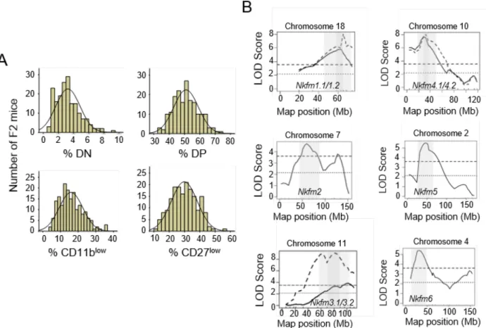 Figure 2.3. mNK cell maturation is a multigenic trait. A) The distribution of the F2.Rag 