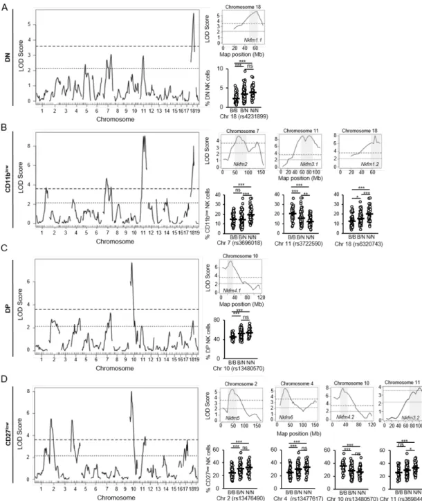 Figure 2.4. Linkage analysis of mNK cell functional maturation in F2.Rag1-deficient mice