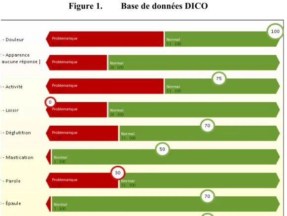 Figure 1.  Base de données DICO 