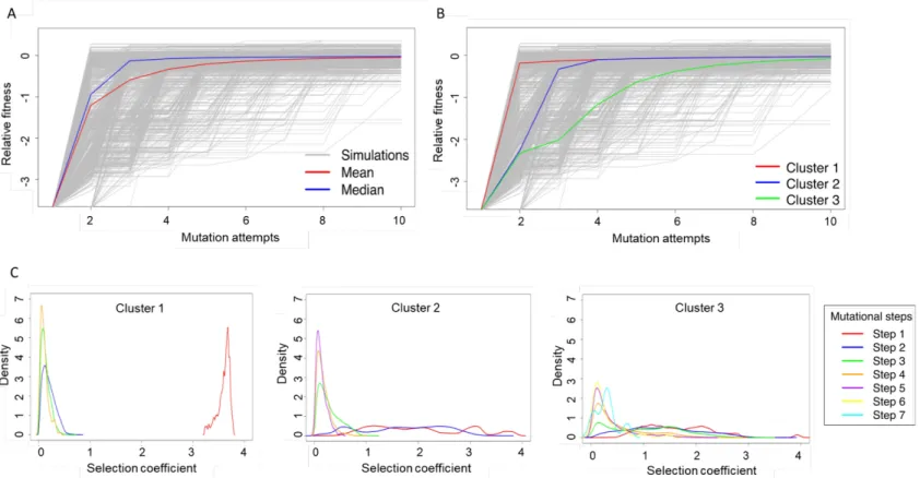 Figure 8.  Trajectories from the deterministic evolutionary model form three distinct clusters