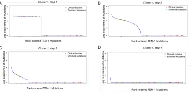 Figure 9.  Clinical isolates and enriched mutations observed in the fast adaptation  cluster