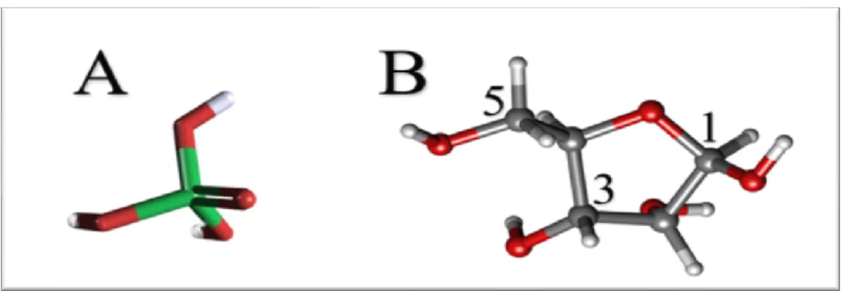 Figure 3. Représentation  en  balles  et  bâtons  (balls  and  sticks)  d’un  groupement  phosphate et d’un beta-D-ribose