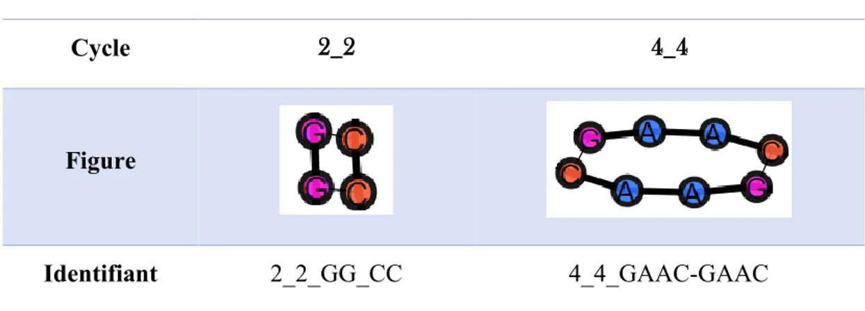 Tableau I.  Représentation de deux cycles simples 
