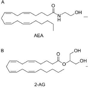 Figure  3:  Chemical  structures  of  endocannabinoids:  a)  Anandamide  (AEA)  and    b)  2-