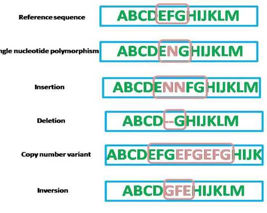 Figure 1: Demonstrating different types of common variation in the Genome.  Table I: Types of common variation in the Genome (modified from[1])