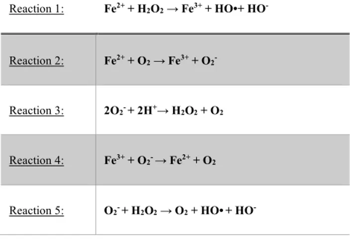 Table 1: Fenton-Haber Weiss reactions, adapted from [63]. Hydroxyl radical formation  from hydrogen peroxide (Reaction 1); Generation of superoxide anion (O2 - ) from ferrous  Fe 2+  reduction with dioxygen (Reaction 2); Formation of hydrogen peroxide (H2O