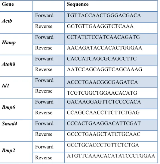 Table 1. Primers used for qPCR analysis of mRNA levels  