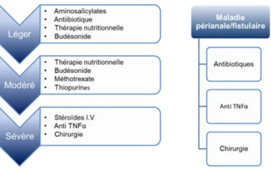Figure 7.  .  Différents médicaments utilisés dans le traitement de la maladie de  Crohn pédiatrique