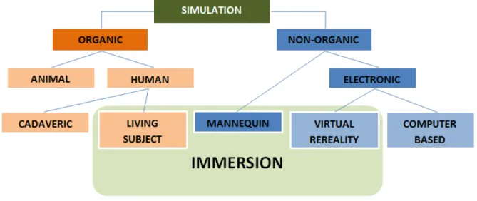 Figure  2:  Classification  of  simulation  models.  Adapted  with  modifications  from  Dr