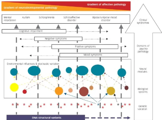 Figure 2.  Hypothesized model of the complex relationship between biological variation  and some major forms of psychopathology