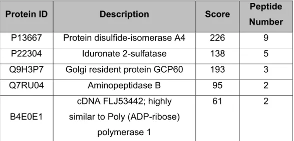 Table 1: Mass spectroscopy results of proteins interacting exclusively with wtPOC5. Scaffold software was used for the analysis of the identified proteins interacting with wtPOC5