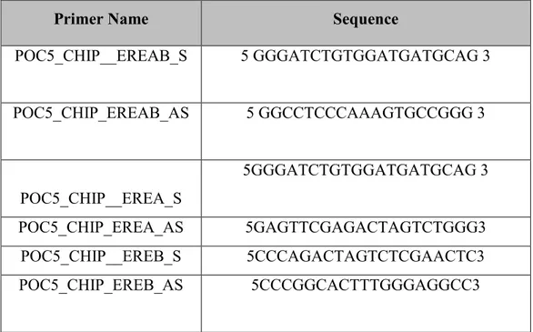 Table 2: List of primers used in ChIP experiment. List of primers used for ESRα response  element on the POC5 promoter