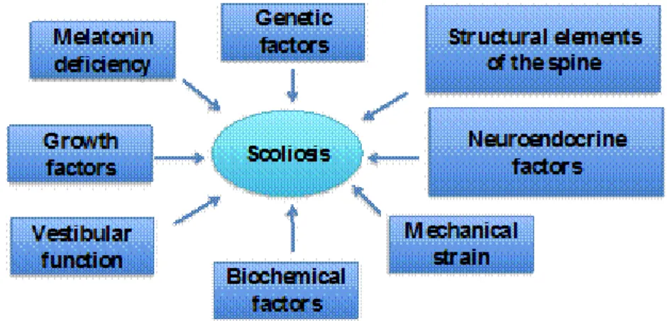 Figure 1: Different factors contributing to scoliosis pathogenesis. 