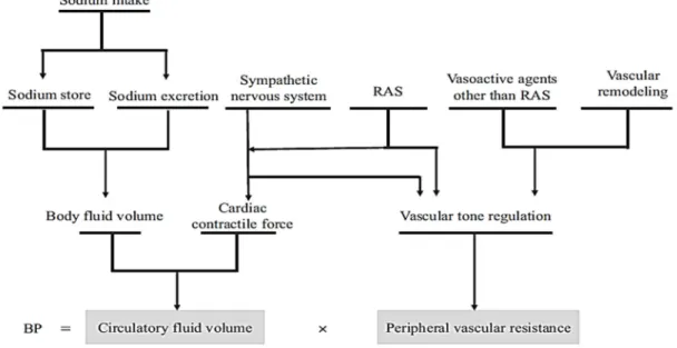 Figure 1-15: Pathophysiology of hypertension (91). 