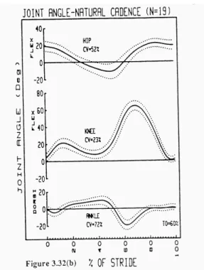 Figure  2-  Joint  angular  kinematics  of  the  lower  limb.  Average  (solid  line)  and 