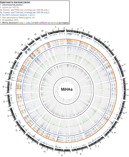 Figure  2.  Integrative  view  of  the  genomic  landscape  of  the  MIP  repertoire  of  HLA- HLA-identical siblings