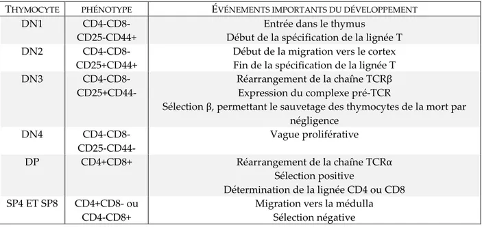 Table 1.1 | Étapes de développement des thymocytes αβTCR+ 