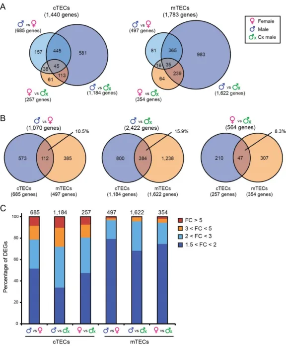 Figure  2.2  | Transcriptomic signatures of cTECs and mTECs in 6 month-old male,  female and Cx male mice 