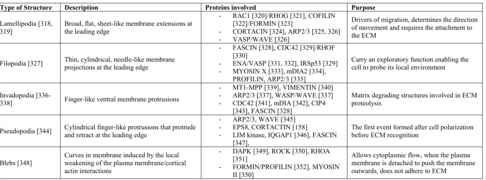 Table 1. III Various types of protrusions formed by the cell upon cell movement 