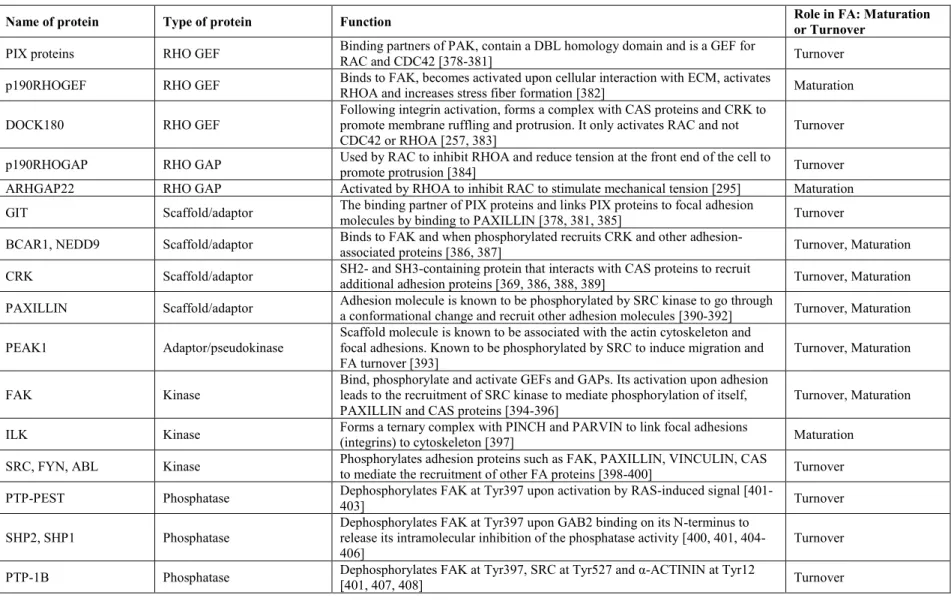 Table 1. IV Major players involved in the regulation of Focal Adhesion dynamics 