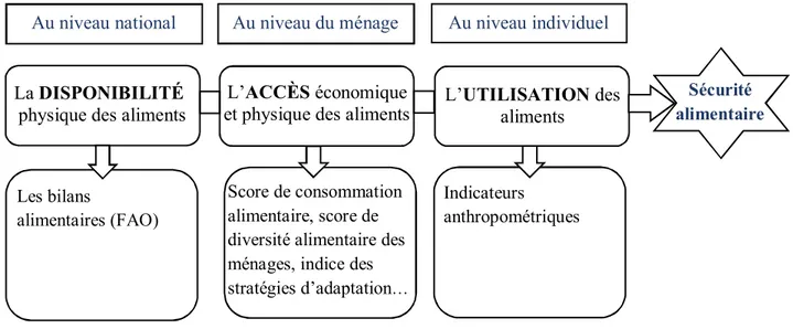 Figure 2 : Degré d’insécurité alimentaire (adaptée de la (FAO, 2017)) 