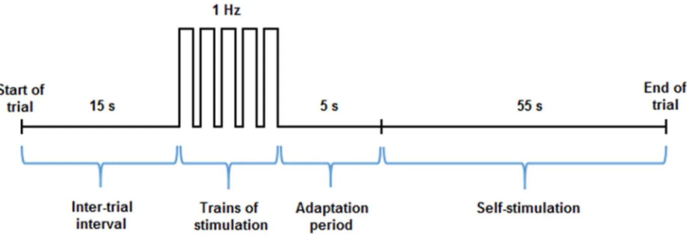 Figure 2: Schematic illustration of representative parameters used during an ICSS paradigm