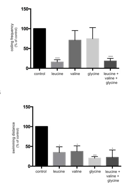Figure	V.1:	Wild-type	zebrafish	show	a	hypotonic	phenotype	when	treated	with	branched-chain	amino	acids	 and	glycine.	A.	Overnight	treatment	of	WT	embryos	with	leucine	alone	and	the	combination	of	leucine,	valine,	