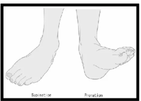 Figure 15. Mouvement articulaire combiné en trois dimensions du pied et la de cheville : A 