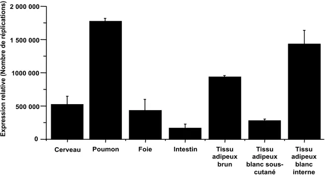 Figure 3. Répartition du GPR120 dans l’organisme. Les valeurs représentent la moyenne (±SEM) de l’expression 