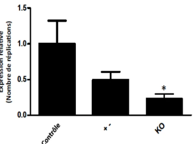 Figure 7. Expression du GPR120 microglial chez les souris CX 3 CR1 CreER/+ ; GPR120 fl/fl 