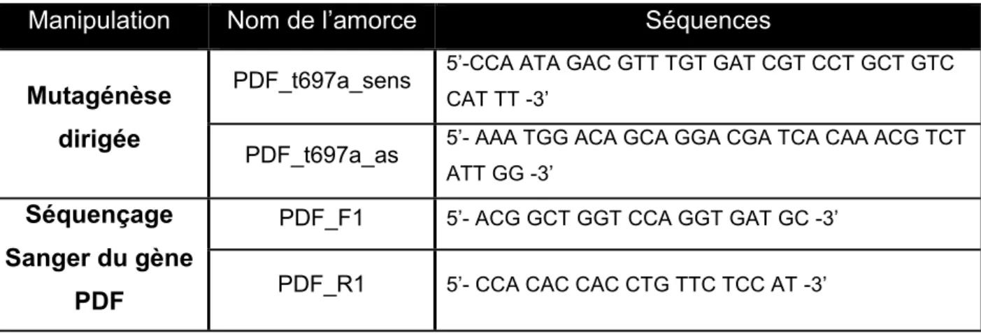 Tableau  III.  Liste  des  amorces  utilisées  pour  la  mutagénèse  dirigée  (mutation  c.t697a sur le gène PDF)