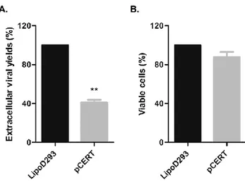 Figure 9.  CERT overexpression hinders viral production 