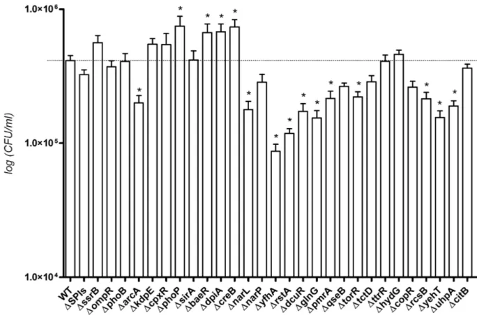 Figure 4. Capacité d’adhésion aux cellules épithéliales intestinales INT407. Les 