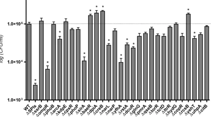 Figure 5. Capacité d’invasion des cellules épithéliales intestinales INT407. Les 