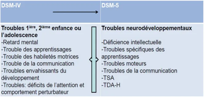 Figure 2 : Organisation des catégories diagnostics du DSM IV au DSM V. 