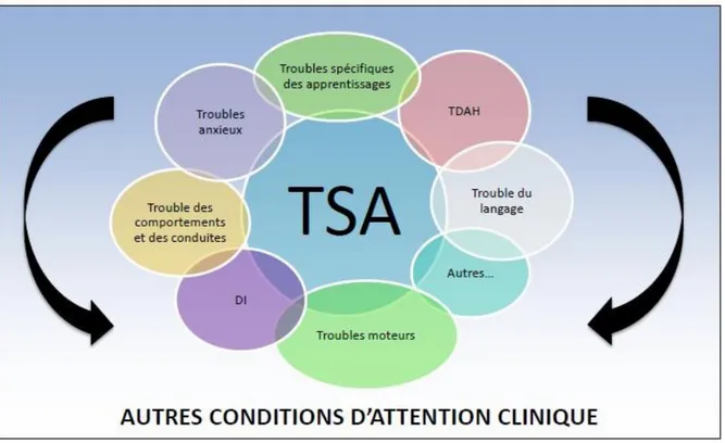 Figure 3 : Comorbidités associées aux TSA dans le DSM V. 