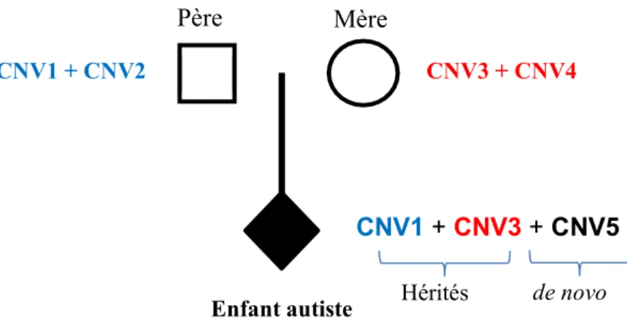 Figure 6 : Différence d’apparition entre les CNVs hérités et de novo.  Source : réalisation personnelle